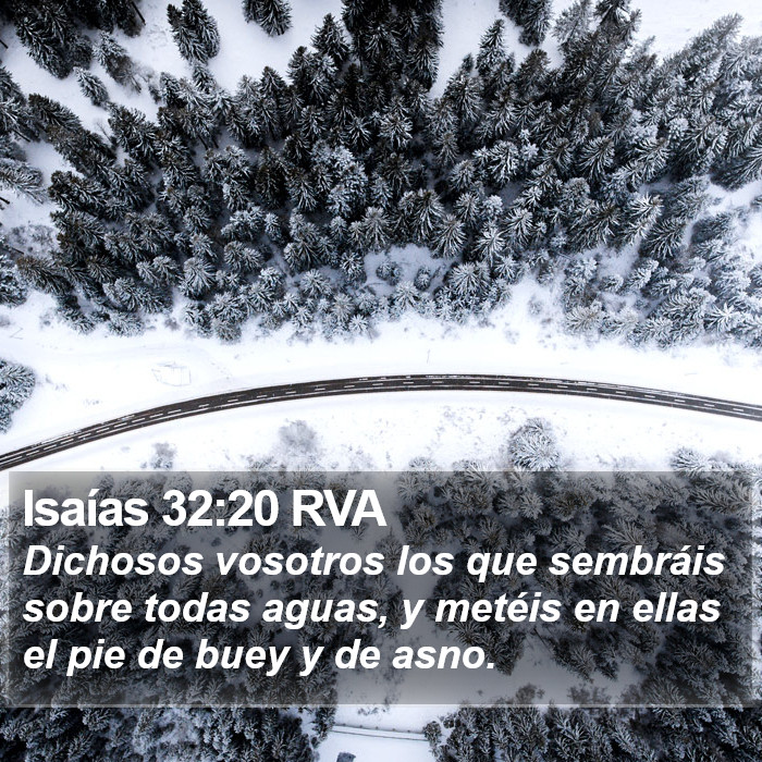 Isaías 32:20 RVA Bible Study