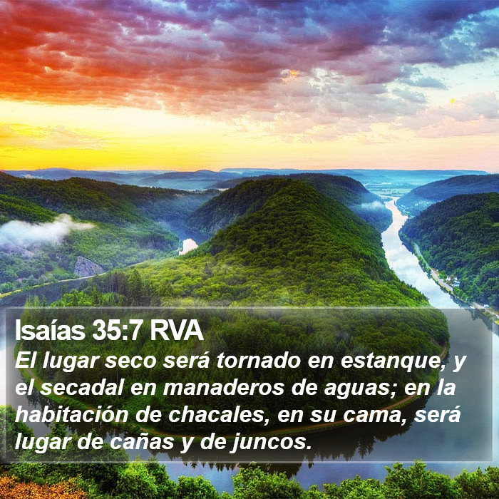 Isaías 35:7 RVA Bible Study