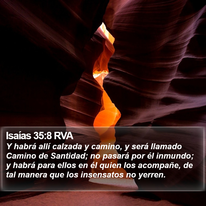 Isaías 35:8 RVA Bible Study