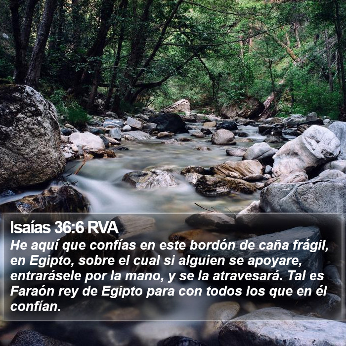 Isaías 36:6 RVA Bible Study