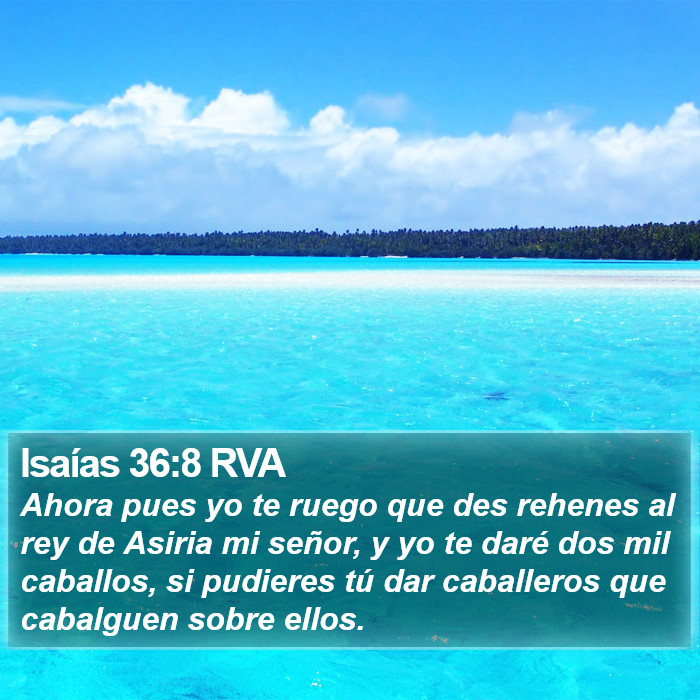 Isaías 36:8 RVA Bible Study