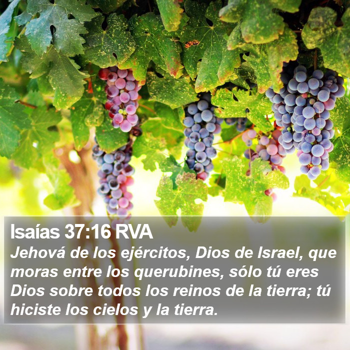 Isaías 37:16 RVA Bible Study