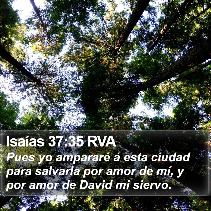 Isaías 37:35 RVA Bible Study