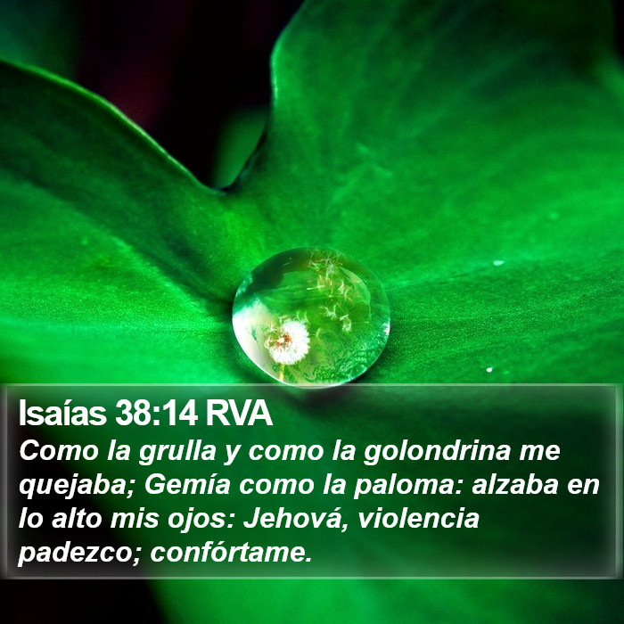 Isaías 38:14 RVA Bible Study