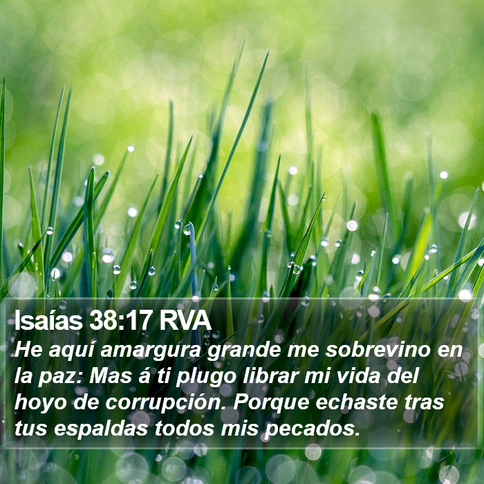 Isaías 38:17 RVA Bible Study