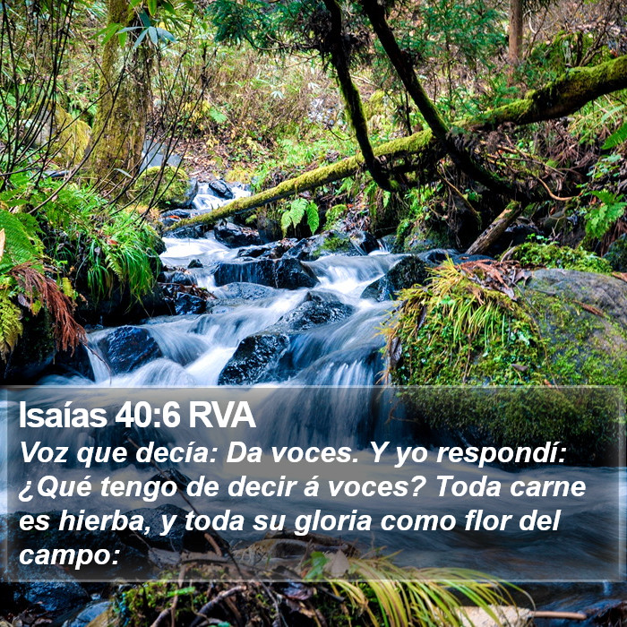 Isaías 40:6 RVA Bible Study