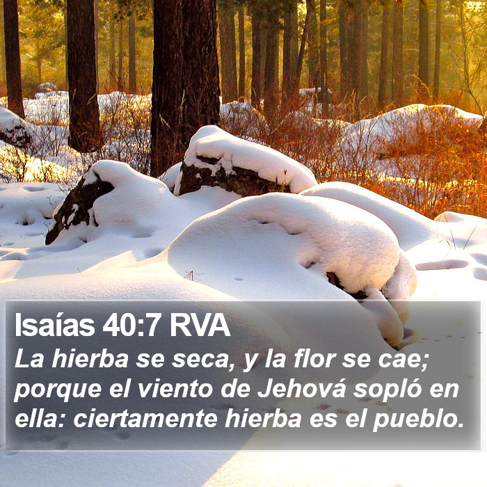 Isaías 40:7 RVA Bible Study