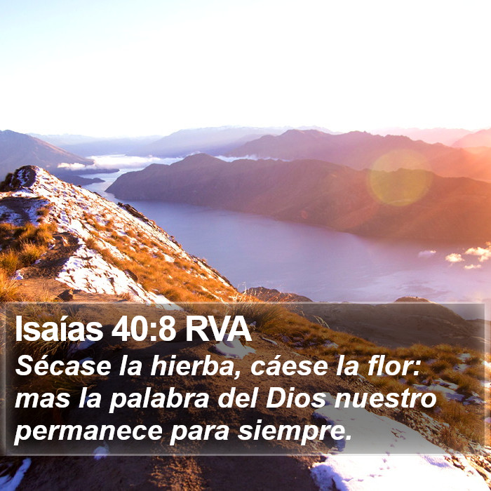 Isaías 40:8 RVA Bible Study