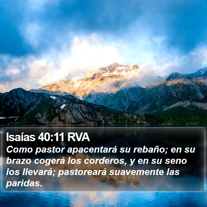 Isaías 40:11 RVA Bible Study