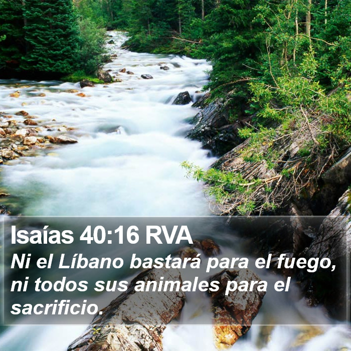 Isaías 40:16 RVA Bible Study