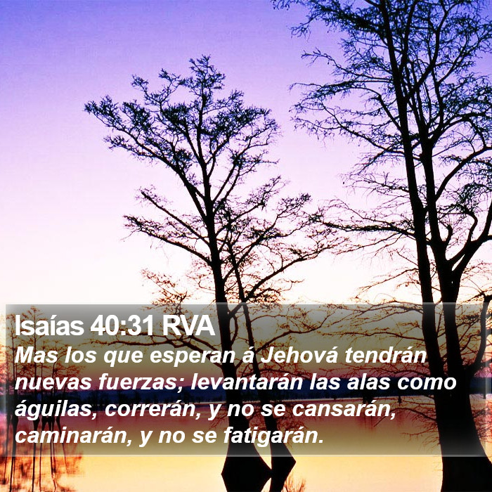 Isaías 40:31 RVA Bible Study