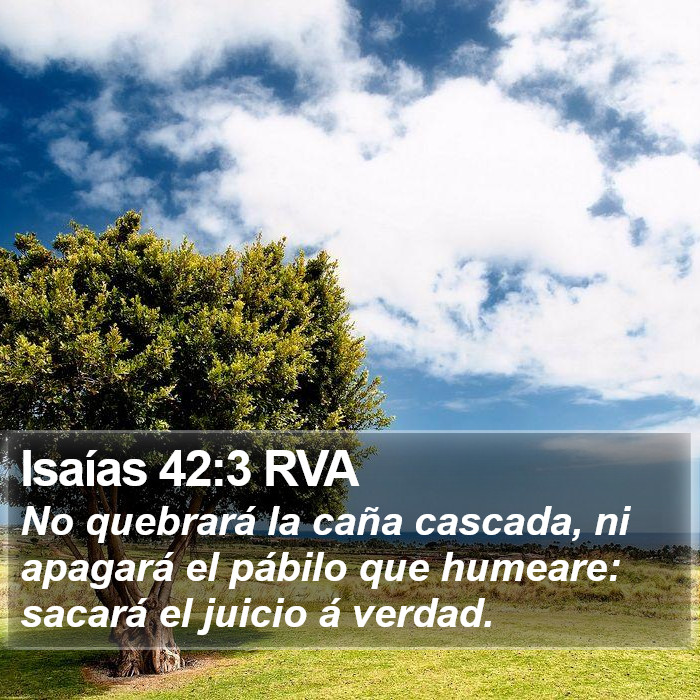 Isaías 42:3 RVA Bible Study