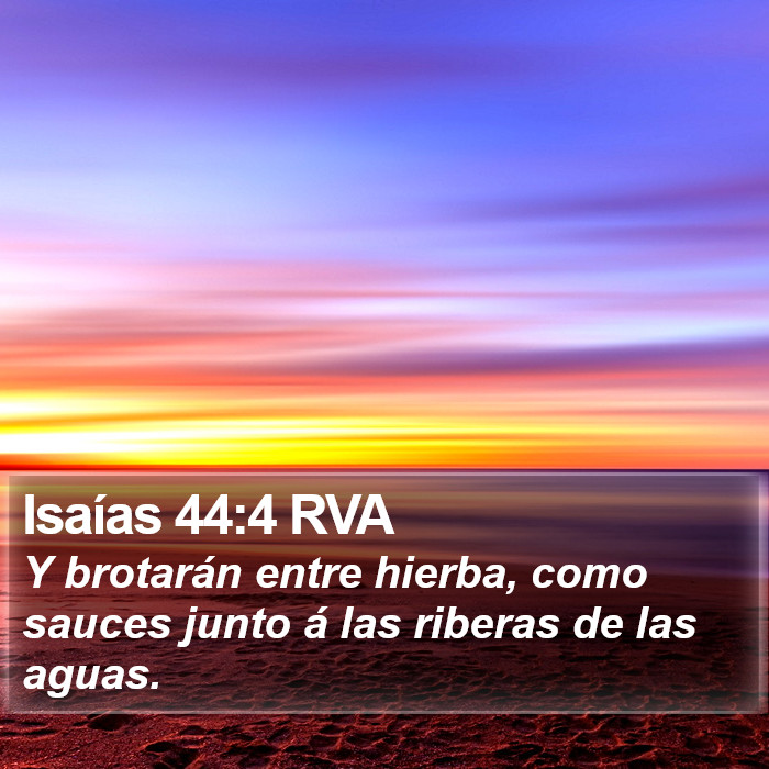 Isaías 44:4 RVA Bible Study