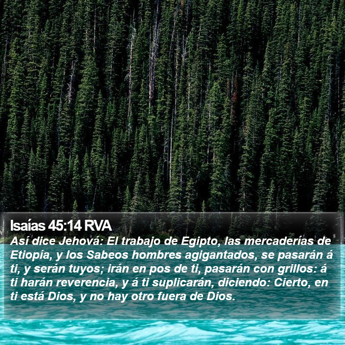 Isaías 45:14 RVA Bible Study