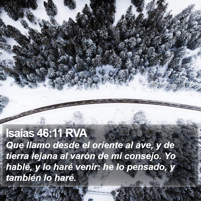 Isaías 46:11 RVA Bible Study