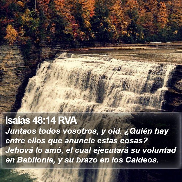 Isaías 48:14 RVA Bible Study