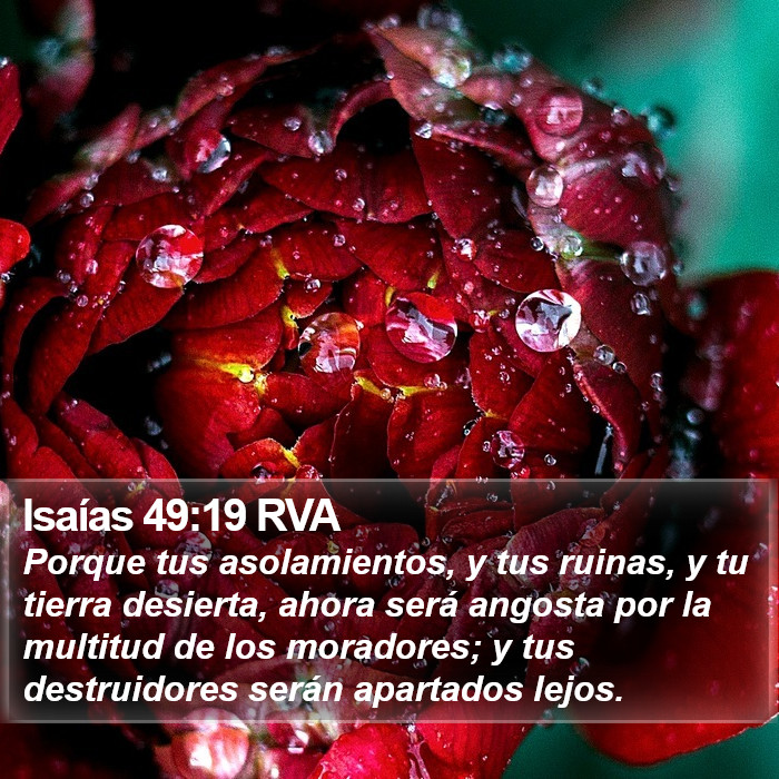 Isaías 49:19 RVA Bible Study