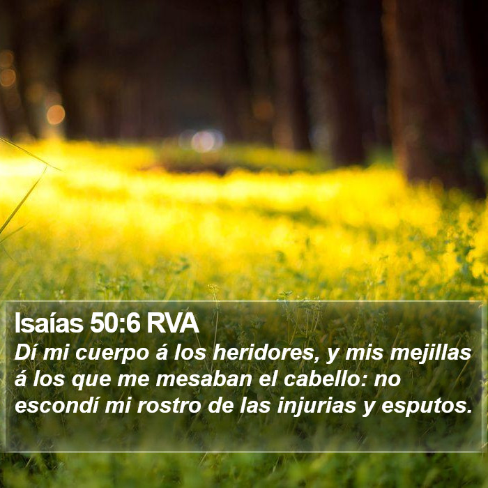 Isaías 50:6 RVA Bible Study