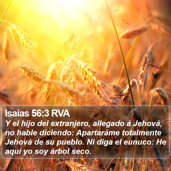 Isaías 56:3 RVA Bible Study