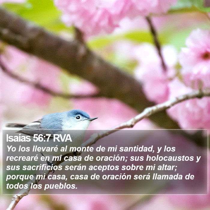 Isaías 56:7 RVA Bible Study