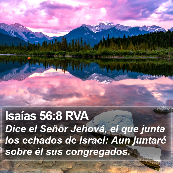 Isaías 56:8 RVA Bible Study