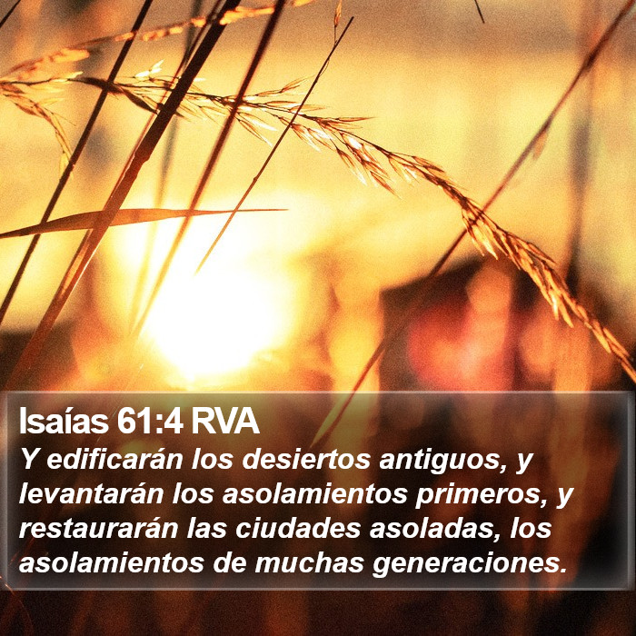 Isaías 61:4 RVA Bible Study