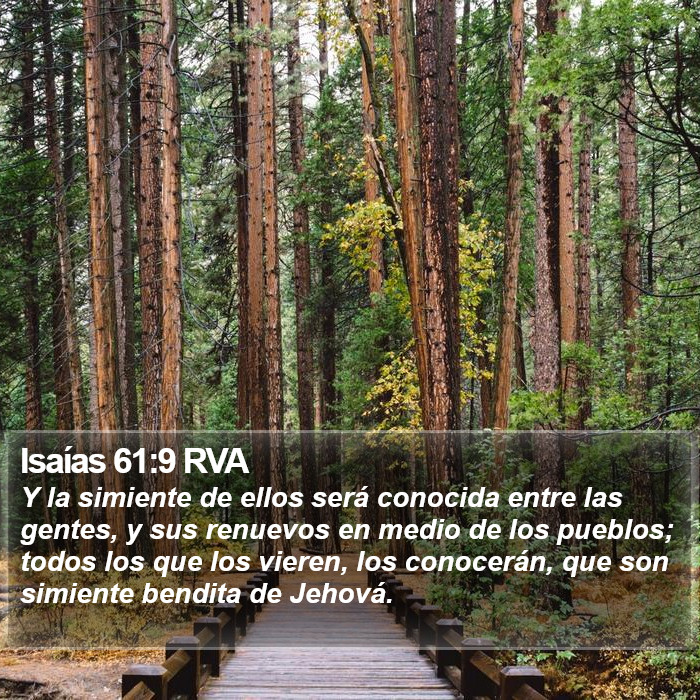 Isaías 61:9 RVA Bible Study