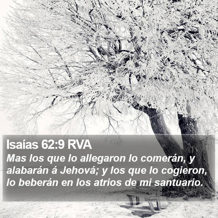 Isaías 62:9 RVA Bible Study