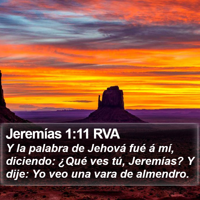 Jeremías 1:11 RVA Bible Study