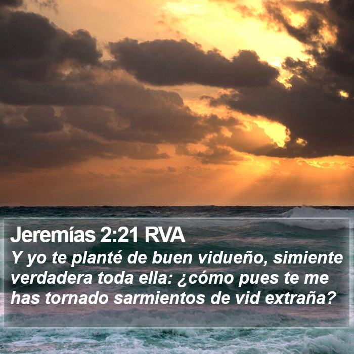 Jeremías 2:21 RVA Bible Study