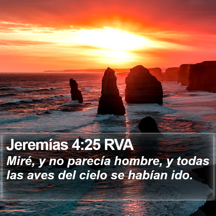 Jeremías 4:25 RVA Bible Study