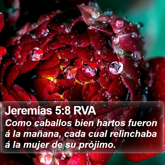 Jeremías 5:8 RVA Bible Study