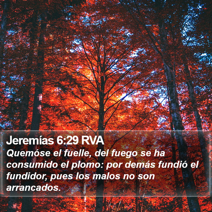 Jeremías 6:29 RVA Bible Study