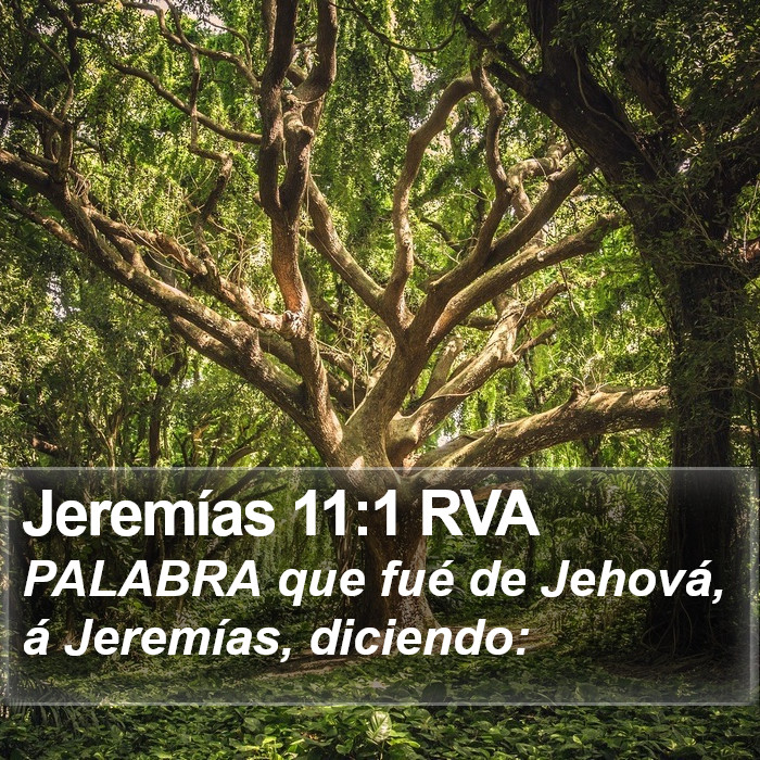 Jeremías 11:1 RVA Bible Study