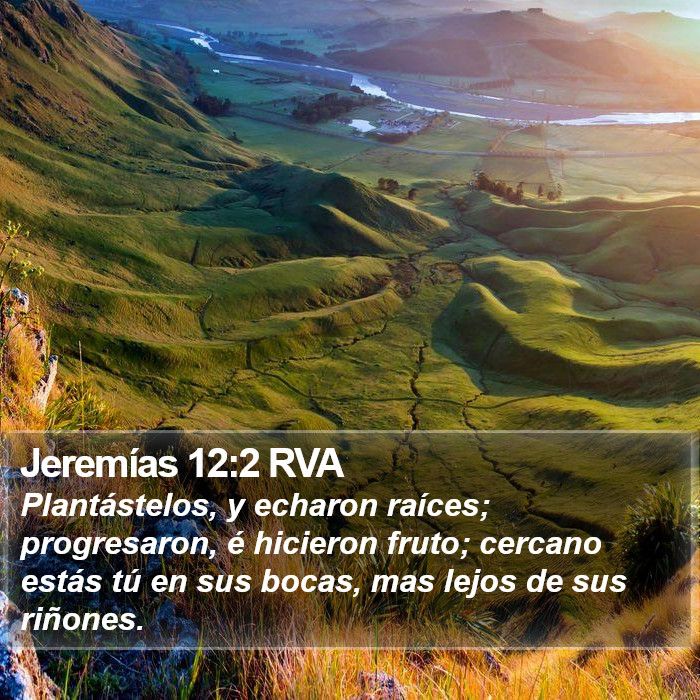 Jeremías 12:2 RVA Bible Study