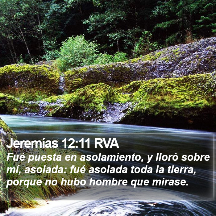 Jeremías 12:11 RVA Bible Study