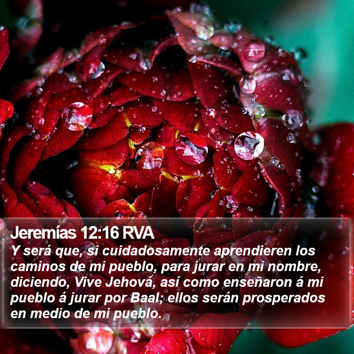 Jeremías 12:16 RVA Bible Study