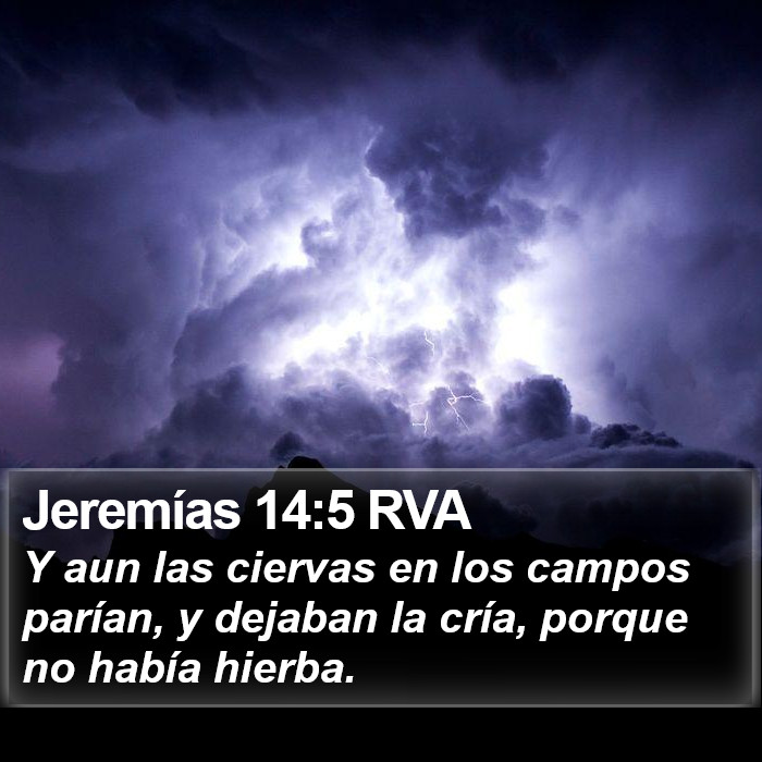 Jeremías 14:5 RVA Bible Study