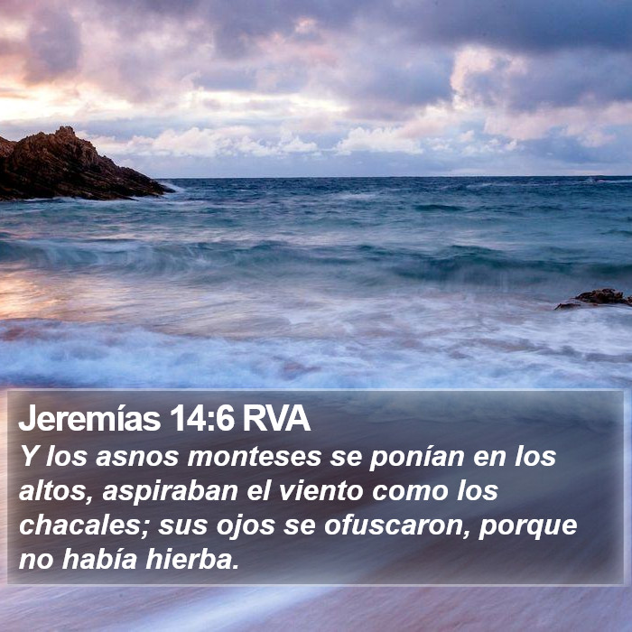 Jeremías 14:6 RVA Bible Study