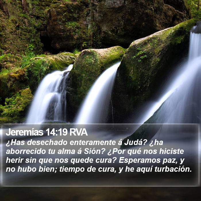 Jeremías 14:19 RVA Bible Study