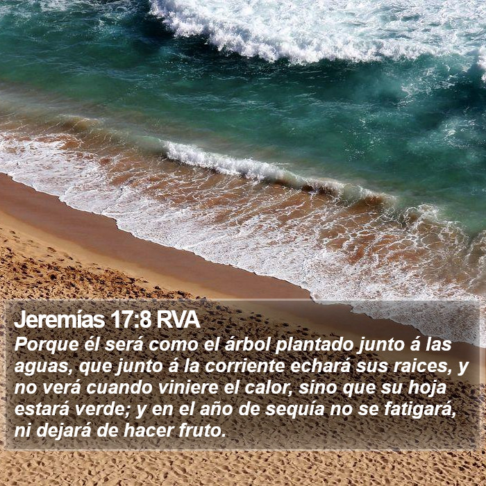 Jeremías 17:8 RVA Bible Study