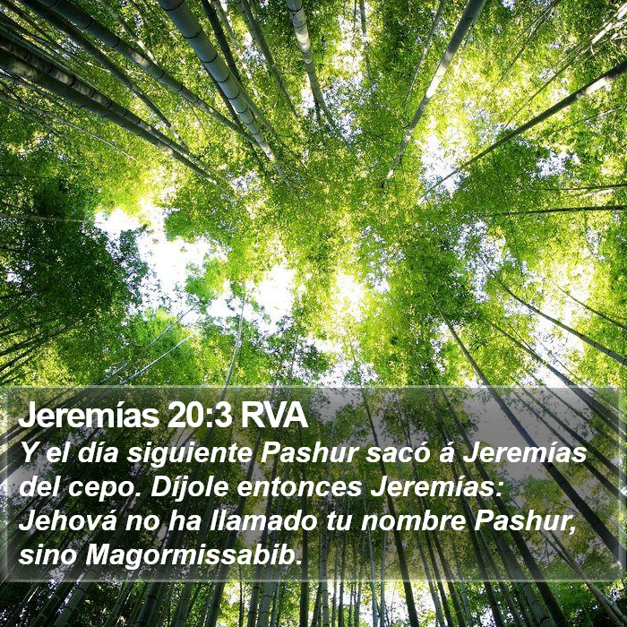 Jeremías 20:3 RVA Bible Study