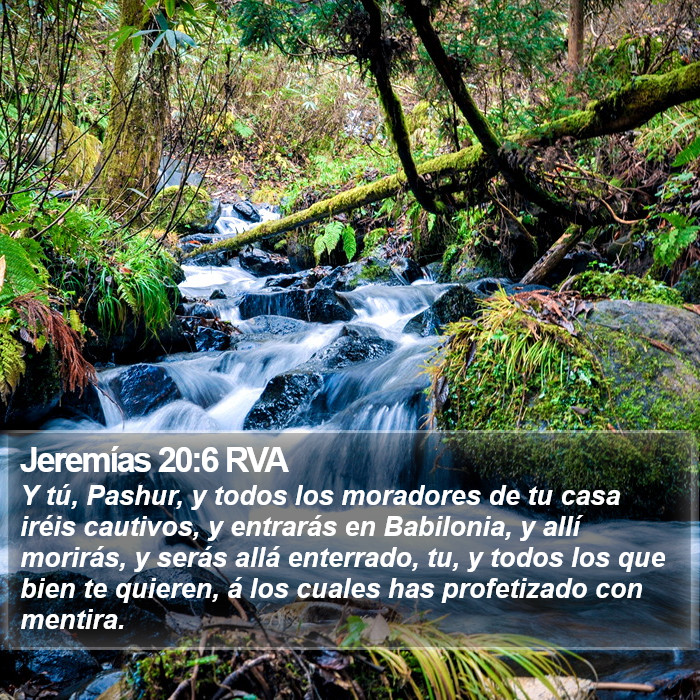 Jeremías 20:6 RVA Bible Study