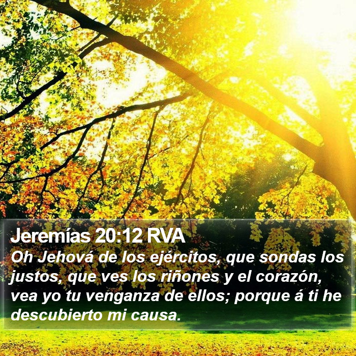 Jeremías 20:12 RVA Bible Study