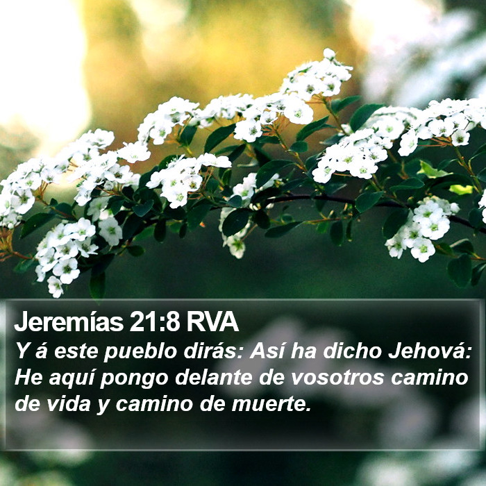 Jeremías 21:8 RVA Bible Study