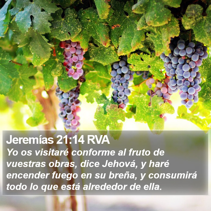 Jeremías 21:14 RVA Bible Study