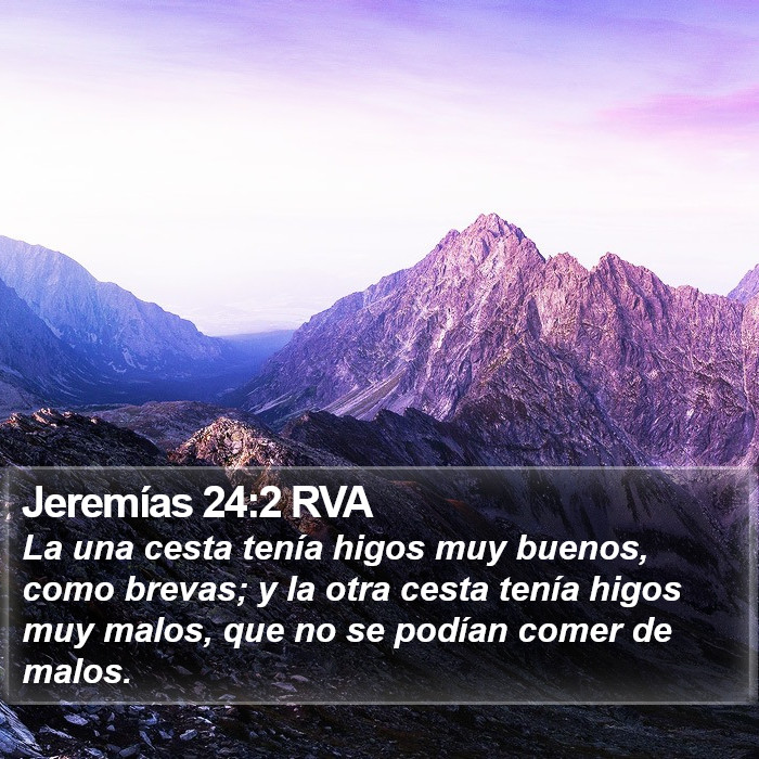 Jeremías 24:2 RVA Bible Study