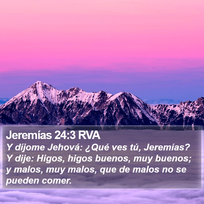 Jeremías 24:3 RVA Bible Study