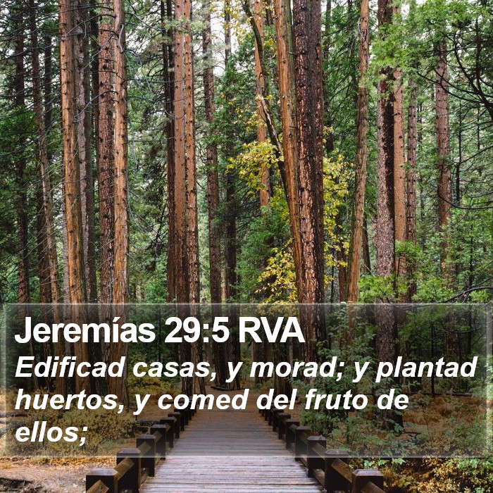 Jeremías 29:5 RVA Bible Study