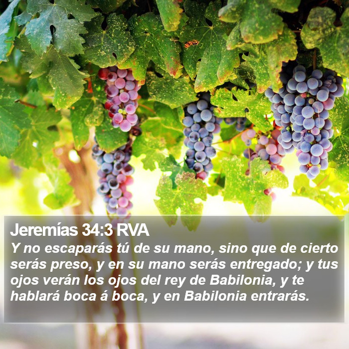 Jeremías 34:3 RVA Bible Study